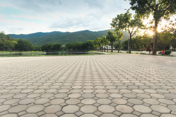 Best Cobblestone Driveway Pavers  in Blossom, TX